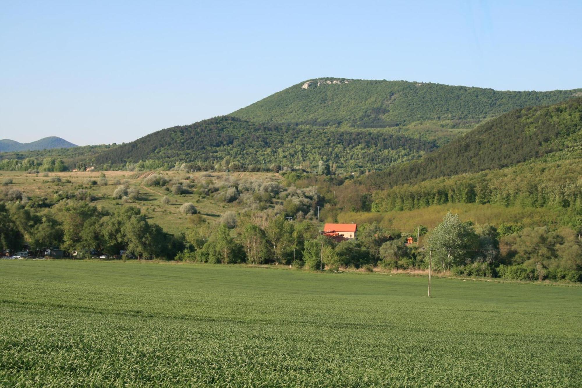 בית הארחה Pilisborosjenő 	Malomdulo Farmhaz מראה חיצוני תמונה