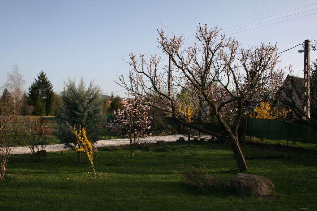 בית הארחה Pilisborosjenő 	Malomdulo Farmhaz מראה חיצוני תמונה